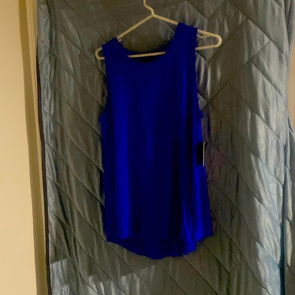 Royal blue, sleeveless, loose tank top, size large.
